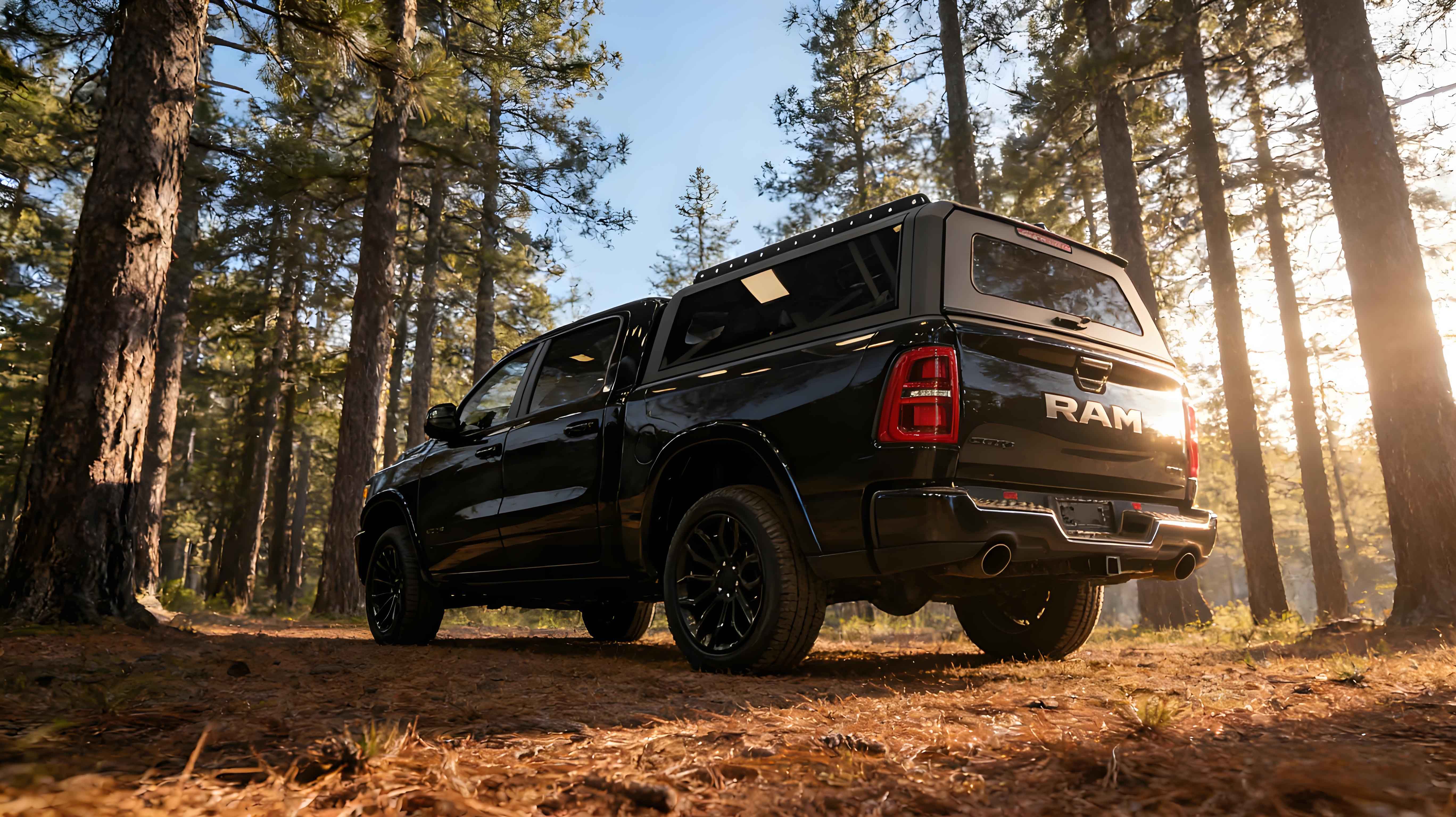 Tri-Opening Full Glass High Canopy